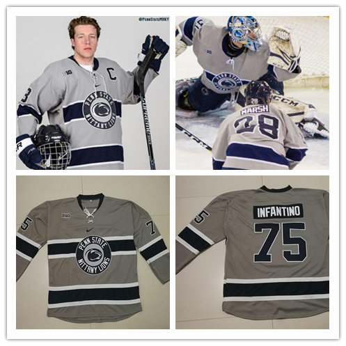  Mens Penn State Nittany Lions Custom Nike Grey Team Logo Hockey Jersey 