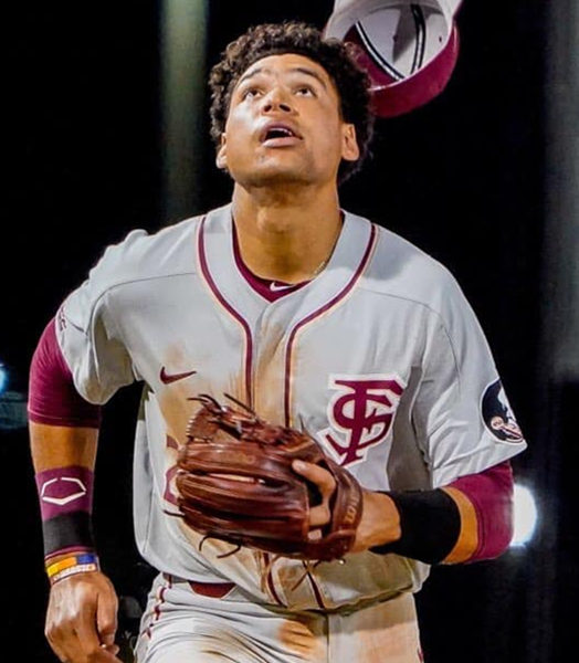  Mens Youth Florida State Seminoles Custom Nike Gray FS Baseball Jersey 