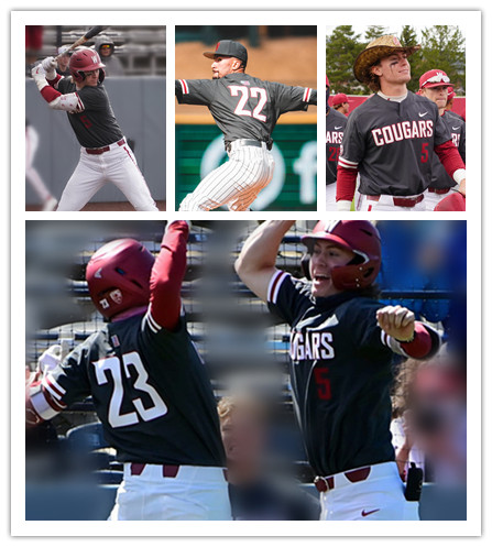  Mens Youth Washington State Cougars Custom charcoal Black two-Button Pullover College Baseball Game Jersey 