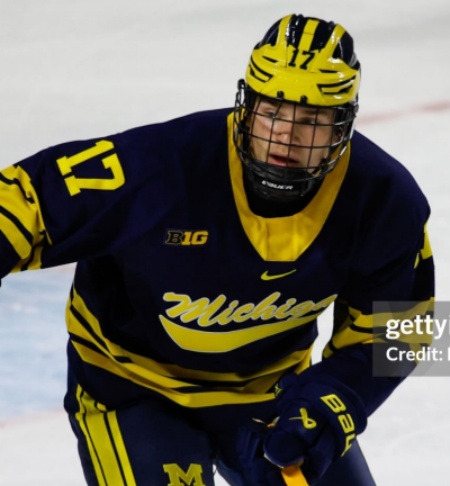  Michigan Wolverines #17 Garrett Schifsky 2023-24 Navy Hockey Game Jersey 