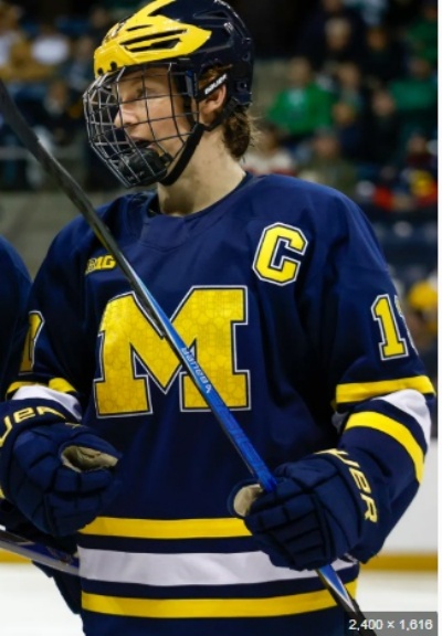  Michigan Wolverines #17 Garrett Schifsky 2025-26 Navy Hockey Game Jersey 