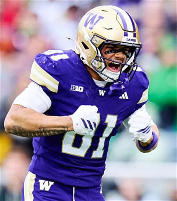  Washington Huskies #81 DEZMEN ROEBUCK 2025 Purple College Football Game Jersey 