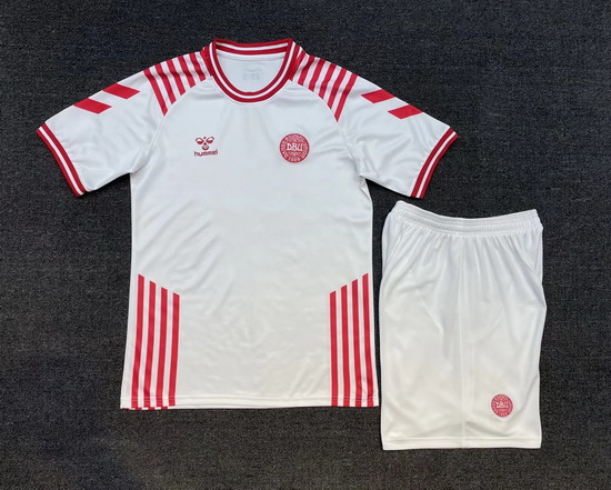 Men Denmark Soccer Jerseys Customized