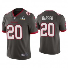 2021 Tampa Bay Buccaneers #20 Ronde Barber Pewter Super Bowl LIV Pewter Vapor Limited Jersey