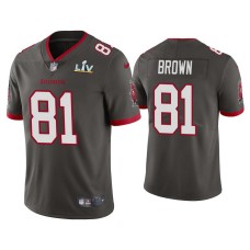 2021 Tampa Bay Buccaneers #81 Antonio Brown Pewter Super Bowl LIV Pewter Vapor Limited Jersey