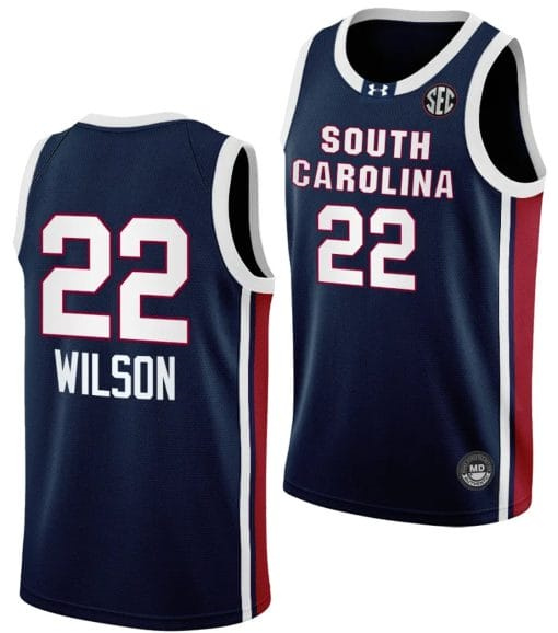 A’ja Wilson Jersey #22 South Carolina Gamecocks College Basketball 2023-24 Away Black