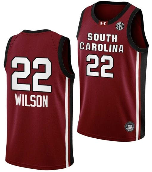 A’ja Wilson Jersey #22 South Carolina Gamecocks College Basketball 2023-24 Garnet