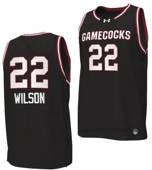 A’ja Wilson Jersey #22 South Carolina Gamecocks College Basketball 2023-24 Replica Black