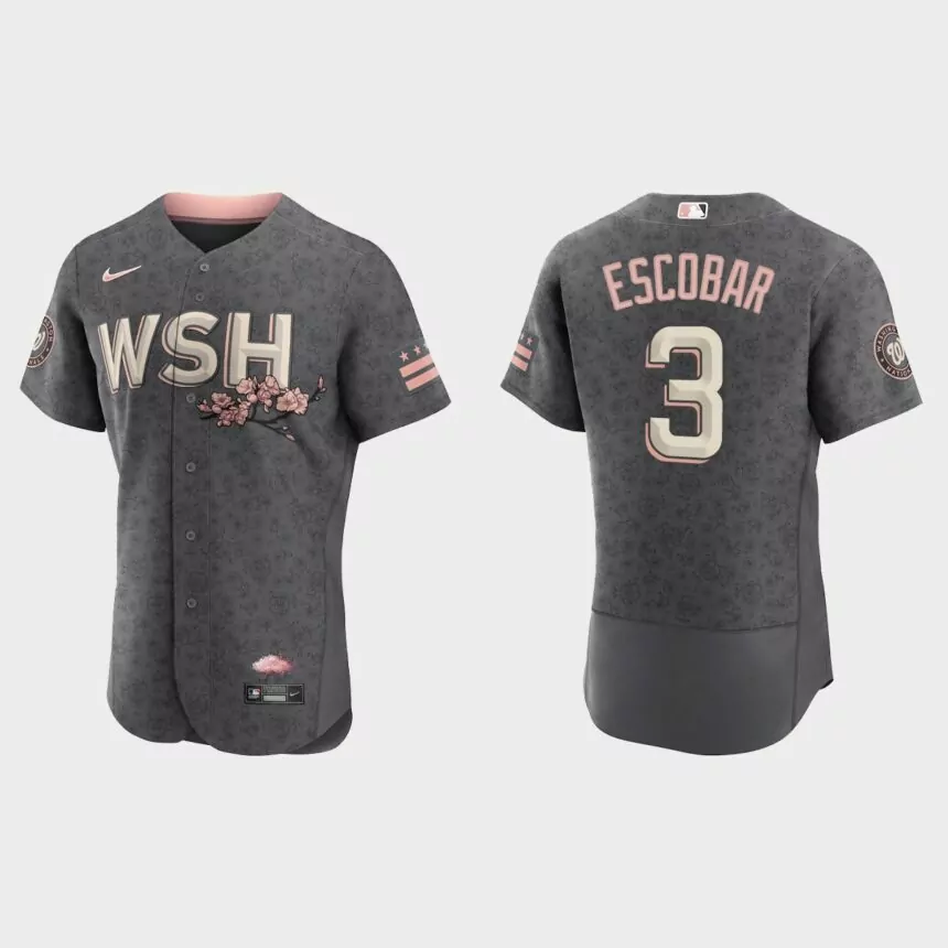 Alcides Escobar Washington Nationals 2022 City Connect Authentic Jersey – Gray