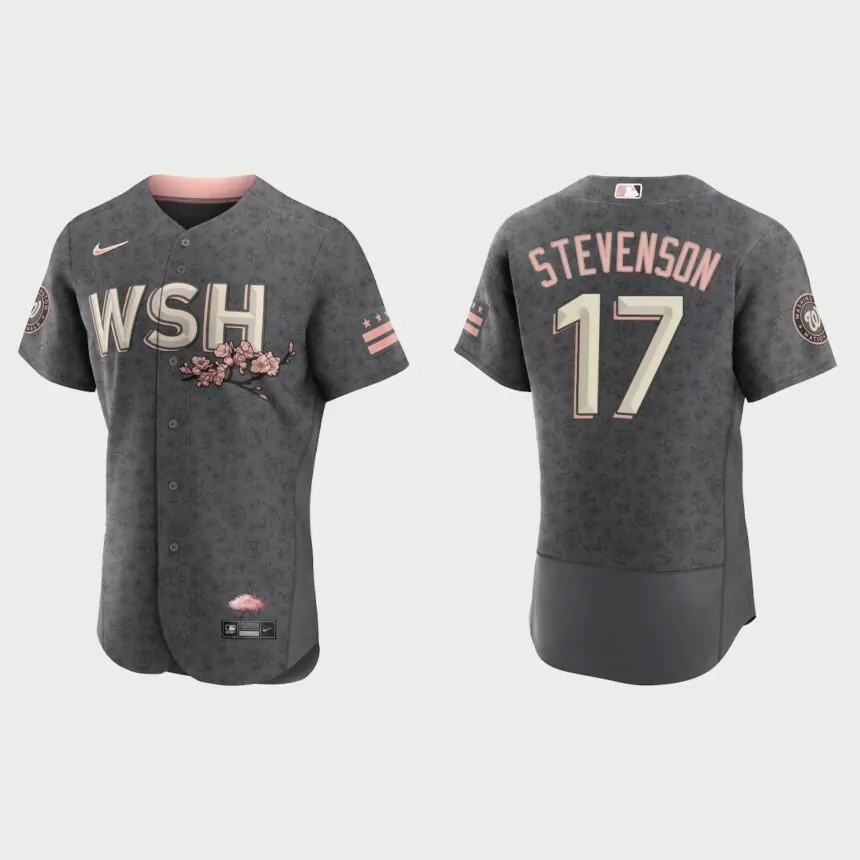 Andrew Stevenson Washington Nationals 2022 City Connect Authentic Jersey – Gray