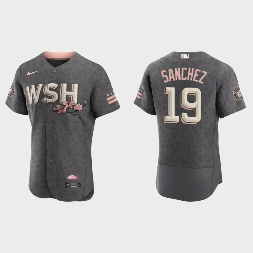 Anibal Sanchez Washington Nationals 2022 City Connect Authentic Jersey – Gray