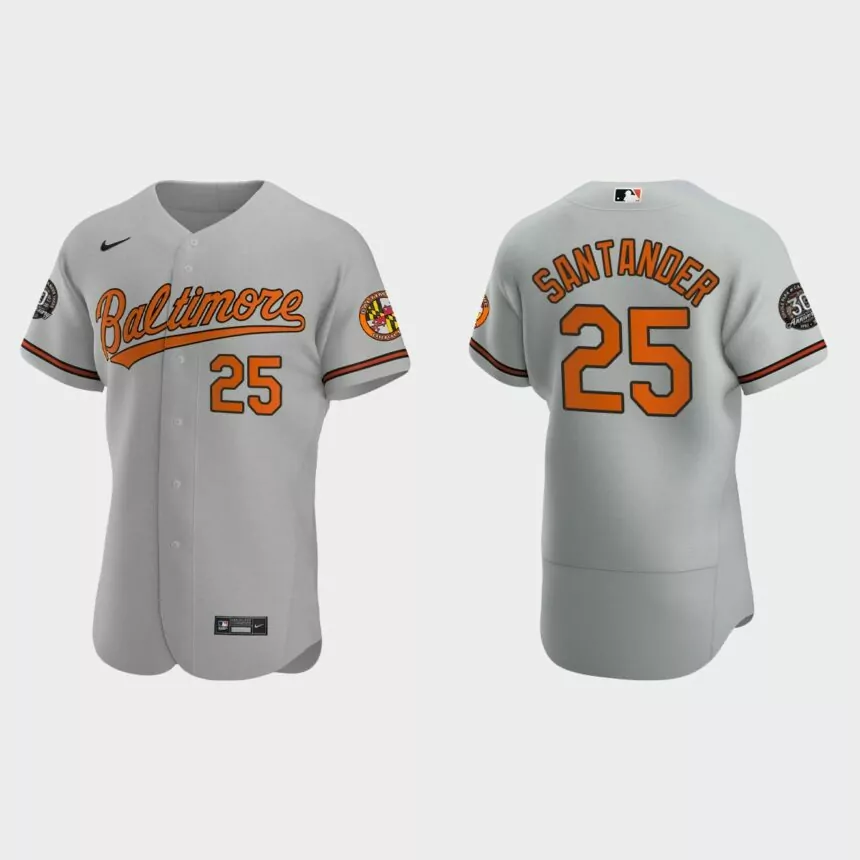 Anthony Santander Baltimore Orioles 30th Anniversary Authentic Jersey – Gray