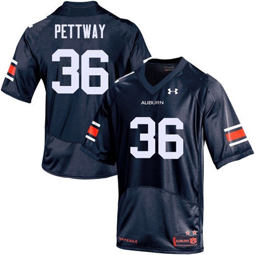 Auburn Tigers Navy Kamryn Pettway College Football Jersey