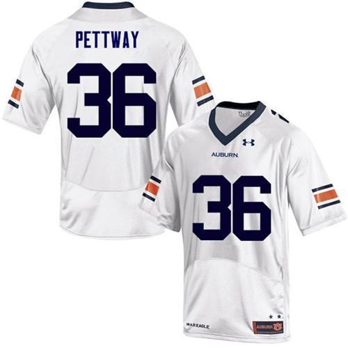 Auburn Tigers White Kamryn Pettway College Football Jersey