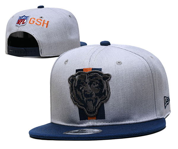 Bears Gray Snapback Hat -YD