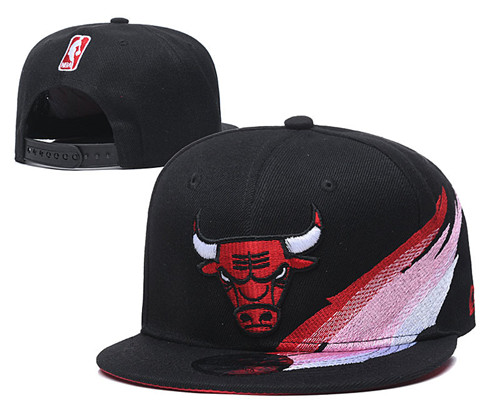 Bulls Team Logo Adjustable Hat YD