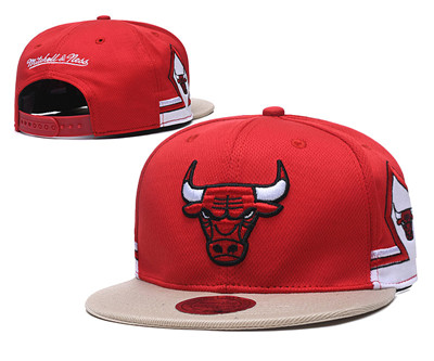 Bulls Team Logo Red Mitchell & Ness Adjustable Hat TX