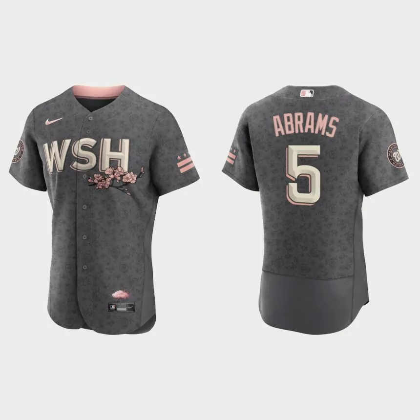 C.J. Abrams Washington Nationals 2022 City Connect Authentic Jersey – Gray