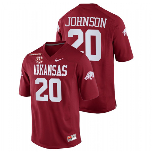 Cardinal Men Arkansas Razorbacks Dominique Johnson College Football Equality Jersey