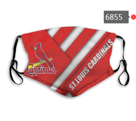 Cardinals PM2.5 Mask with Filter Double Protection  (3)