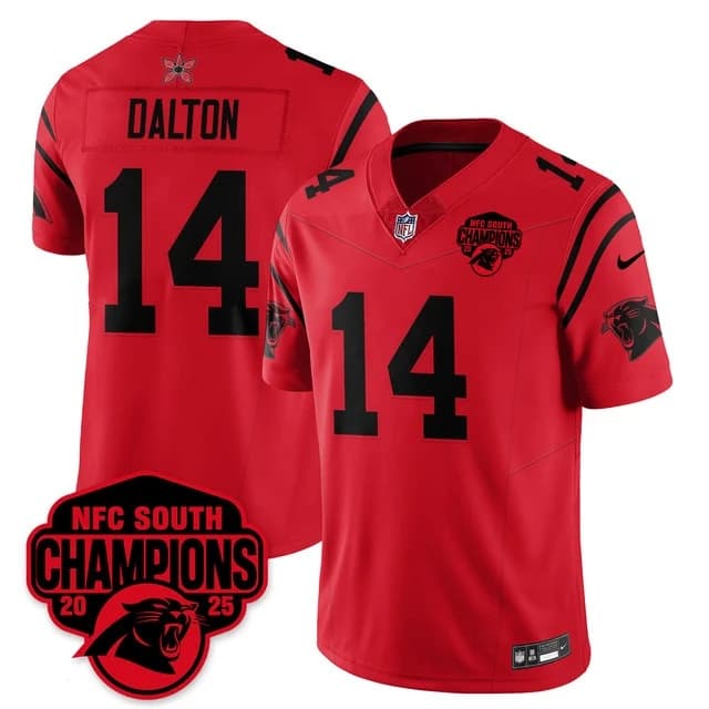 Carolina Panthers Stranger Things NFC South Division Champions Vapor Limited Jersey - All Stitched Andy Dalton -   14
