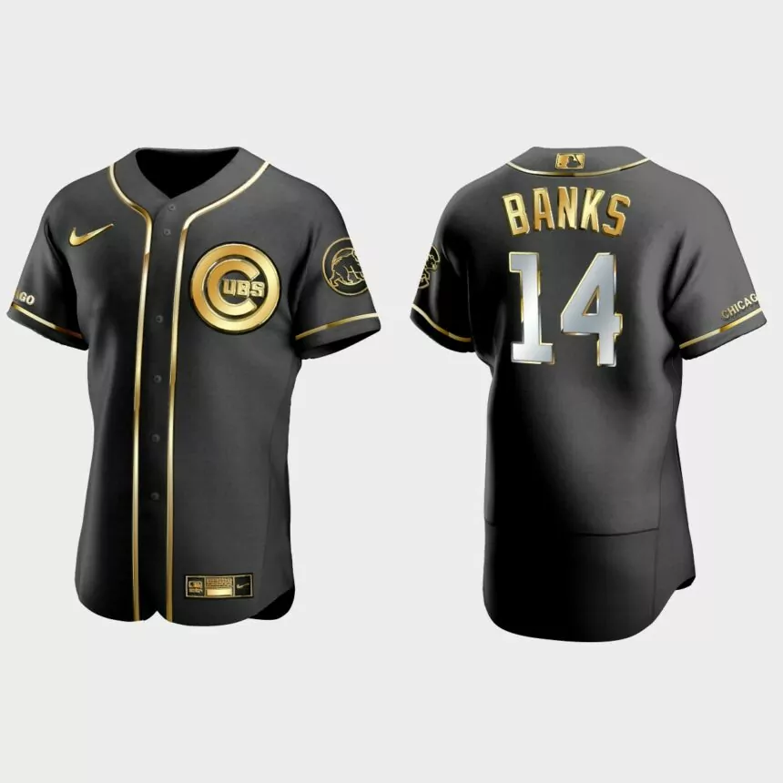 Chicago Cubs #14 Ernie Banks Golden Edition Authentic Jersey – Black