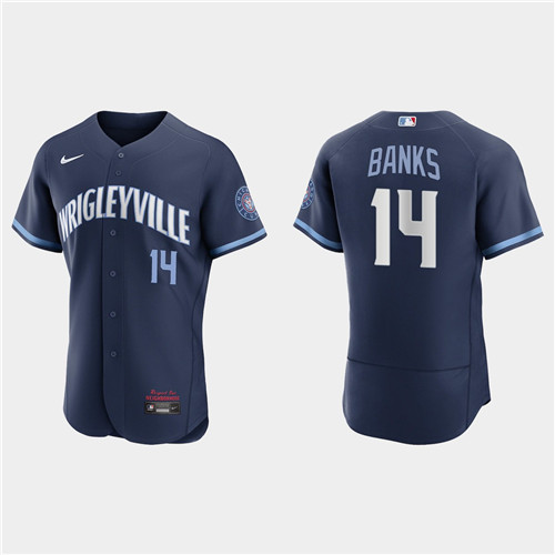 Chicago Cubs #14 Ernie Banks Men's Nike 2021 City Connect Authentic Navy MLB Jersey