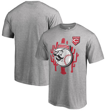 Cincinnati Reds Nike Heathered Black Sideline Legend Velocity Travel Performance T-Shirt.jpg
