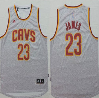 Cleveland Cavaliers #23 LeBron James Grey Fashion Stitched NBA Jersey