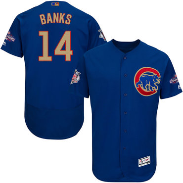 Cubs 14 Ernie Banks Blue World Series Champions Gold Program Flexbase Jersey
