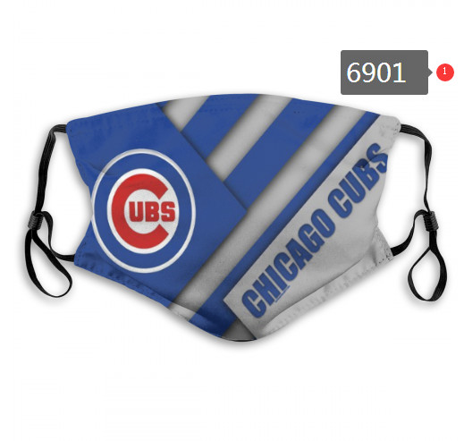 Cubs PM2.5 Mask with Filter Double Protection  (2)