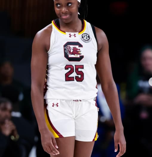 Custom South Carolina Gamecocks    women basketball jersey