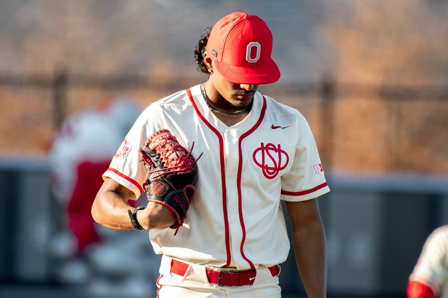 Custom ohio state buckeyes baseball   jersey