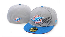 Dolphins fitted aht
