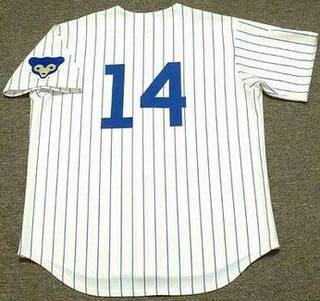 ERNIE BANKS Chicago Cubs 1969 Home Majestic Throwback Baseball Jersey