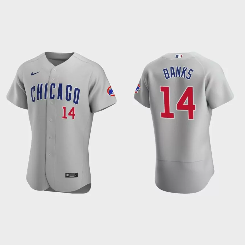 Ernie Banks #14 Chicago Cubs Gray Authentic 2020 Road Jersey