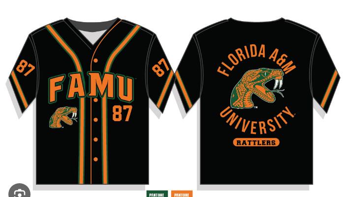 Florida A&M University Baseball Jersey