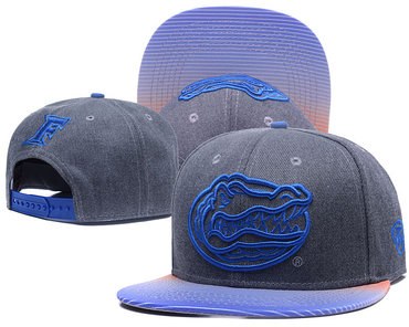 Florida Gators Team Logo Gray Ajustable Hat GS