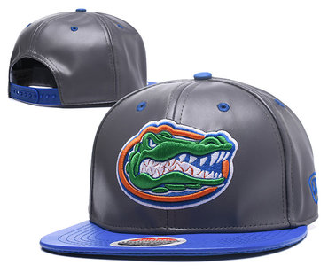 Florida Gators Team Logo Gray Ajustable Hat GS2