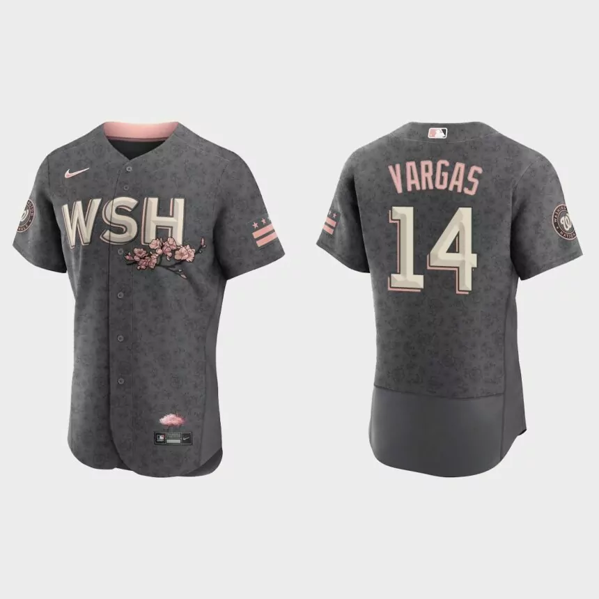 Ildemaro Vargas Washington Nationals 2022 City Connect Authentic Jersey – Gray