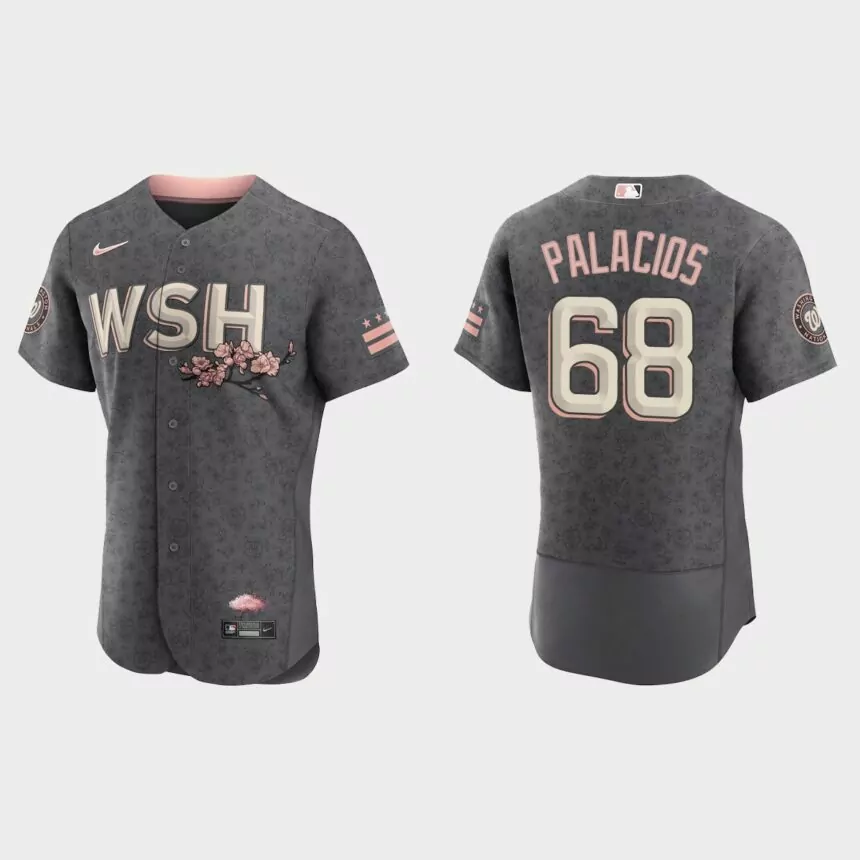 Josh Palacios Washington Nationals 2022 City Connect Authentic Jersey – Gray