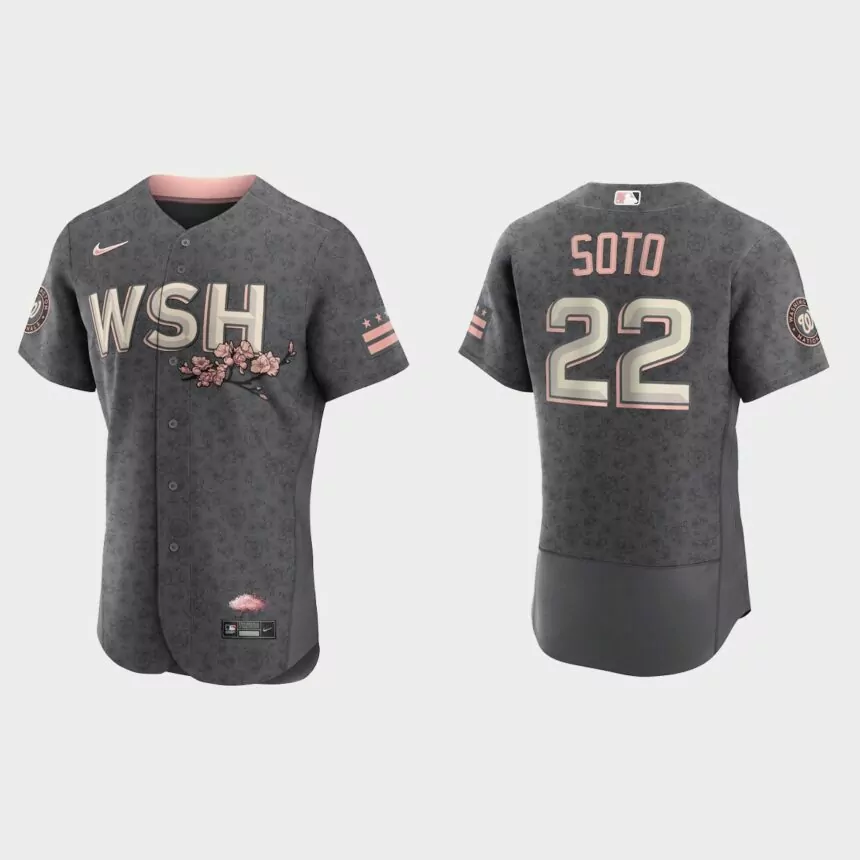 Juan Soto Washington Nationals 2022 City Connect Authentic Jersey – Gray