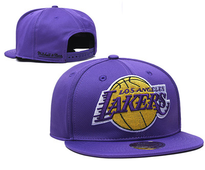 Lakers Team Logo Purple Mitchell & Ness Adjustable Hat TX