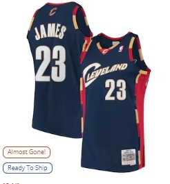 LeBron James Cleveland Cavaliers Mitchell & Ness Hardwood Classics Swingman Jersey - Navy