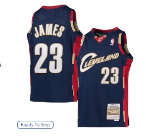 LeBron James Cleveland Cavaliers Mitchell & Ness Youth 2008-09 Hardwood Classics Swingman Jersey - Navy