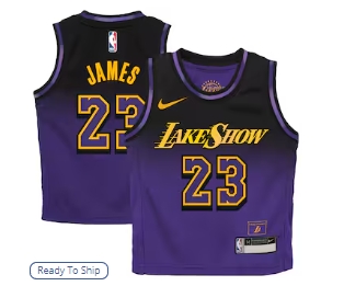 LeBron James Los Angeles Lakers Nike Preschool 2024-25 Swingman Player Jersey - City Edition - Purple