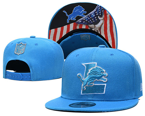 Lions Team Logos Adjustable Hat GS