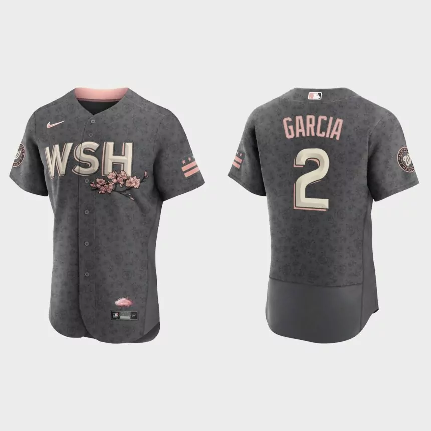 Luis Garcia Washington Nationals 2022 City Connect Authentic Jersey – Gray
