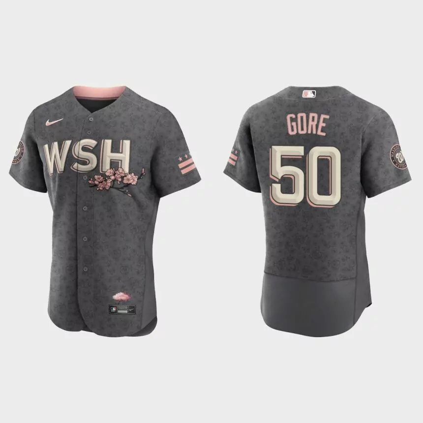 MacKenzie Gore Washington Nationals 2022 City Connect Authentic Jersey – Gray