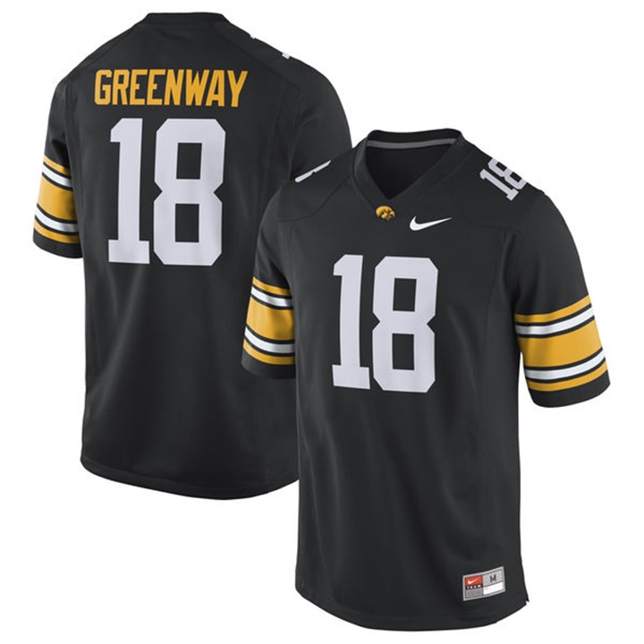 Male Iowa Hawkeyes Black Chad Greenway Alumni Football Performance Jersey